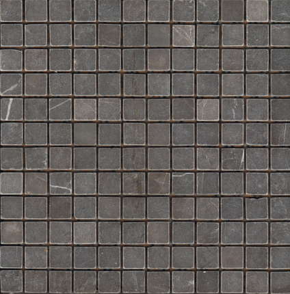 Стармозаик Wild Stone мраморная мозаика Bs Tumbled 23x23