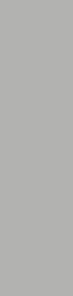 СтароСлэбс Matt Mono Grey Matt 800х3200х12