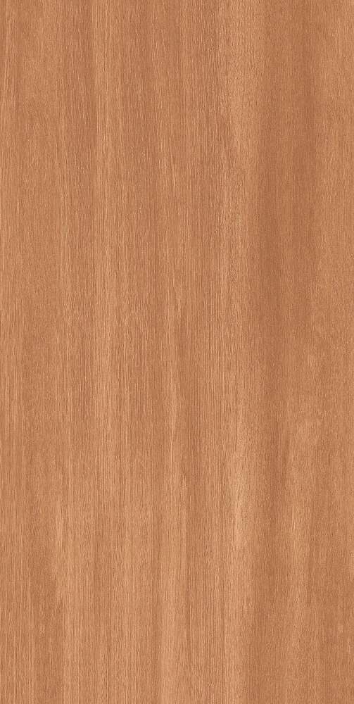 Brown Matt (600x1200)