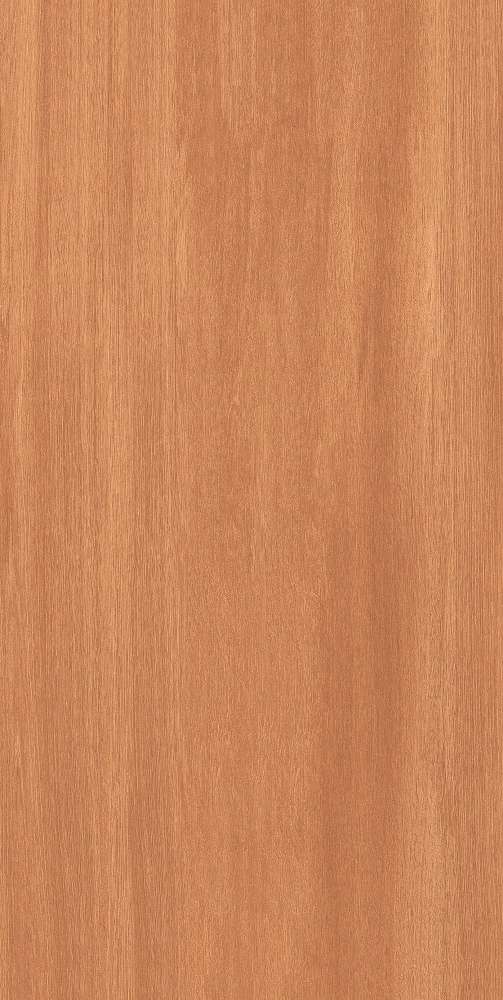 Brown Matt (600x1200)