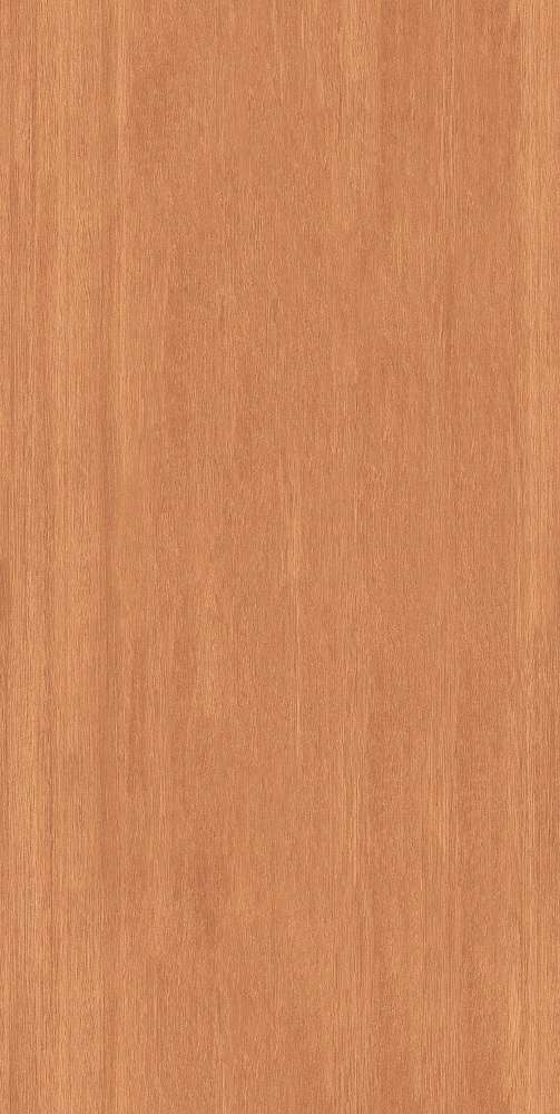 Brown Matt (600x1200)