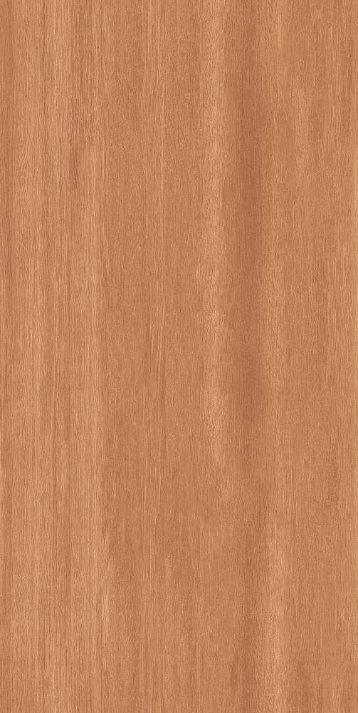 Brown Matt (600x1200)