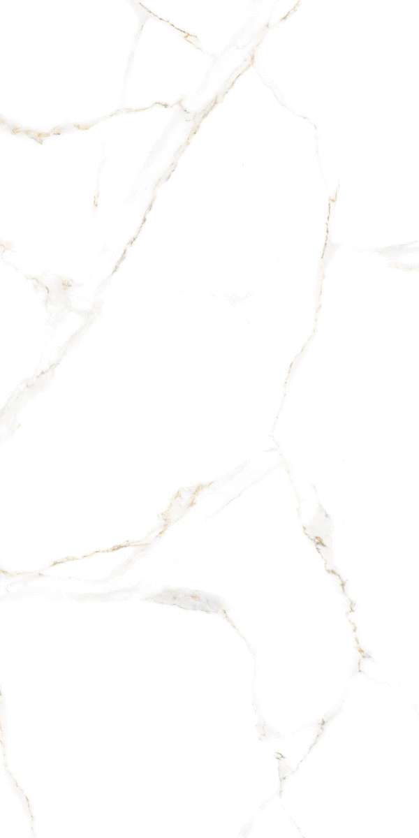 White (600x1200)