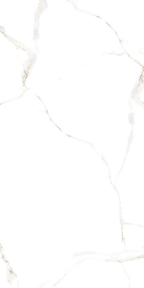 White (600x1200)