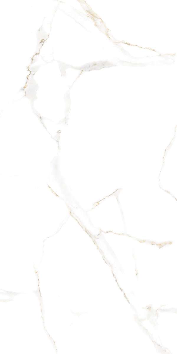 White (600x1200)