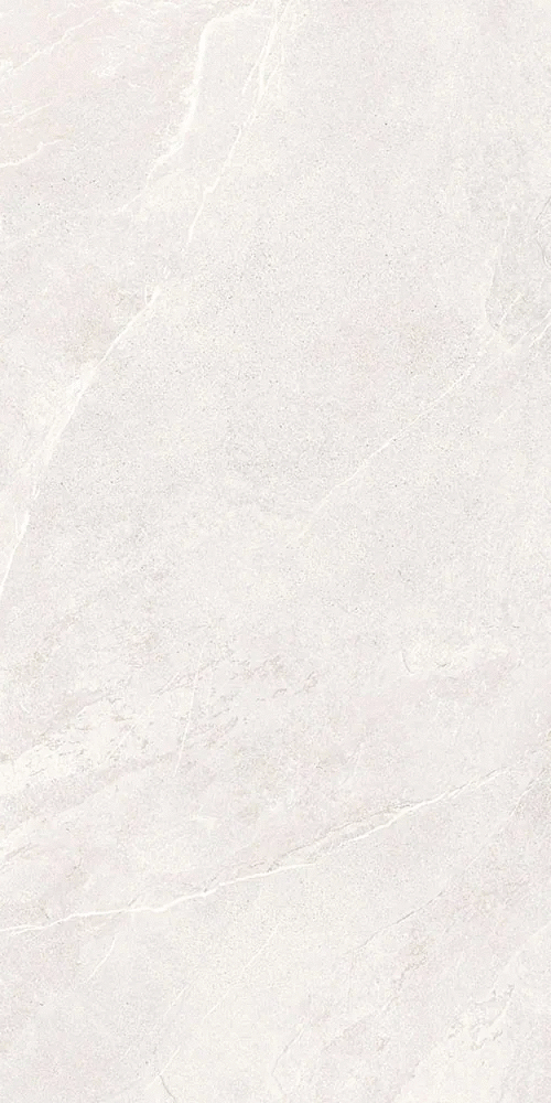 Белый Матовый R10A Ректификат 9мм 60х120 (600x1200)