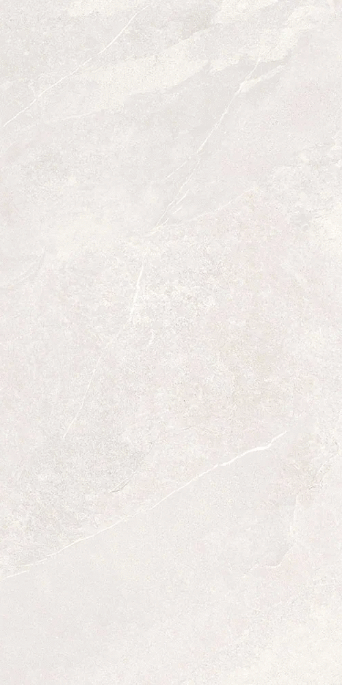 Белый Матовый R10A Ректификат 9мм 60х120 (600x1200)