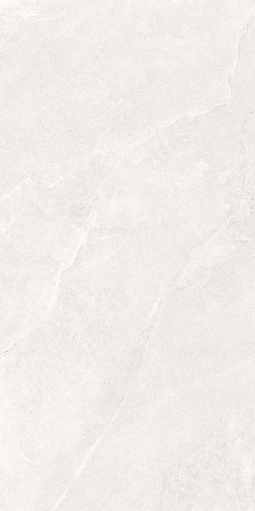 Белый Матовый R10A Ректификат 9мм 60х120 (600x1200)