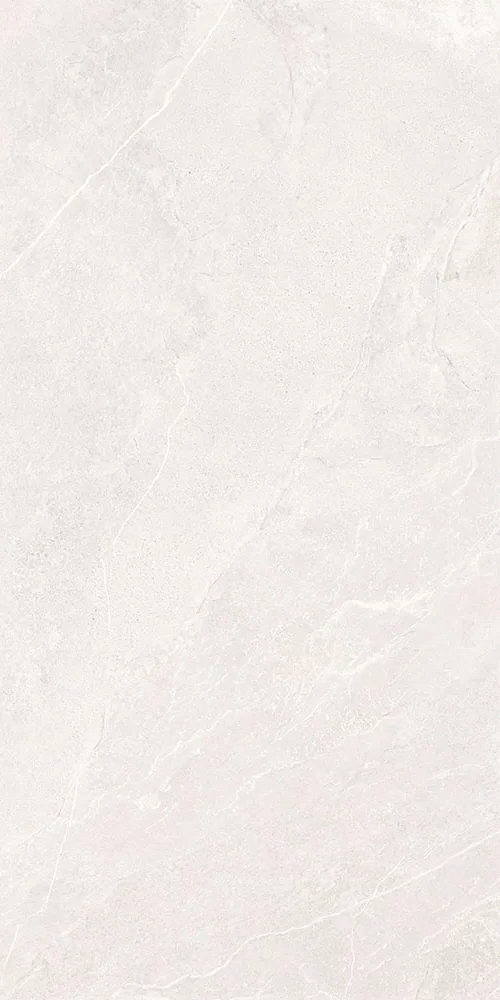 Белый Матовый R10A Ректификат 9мм 60х120 (600x1200)