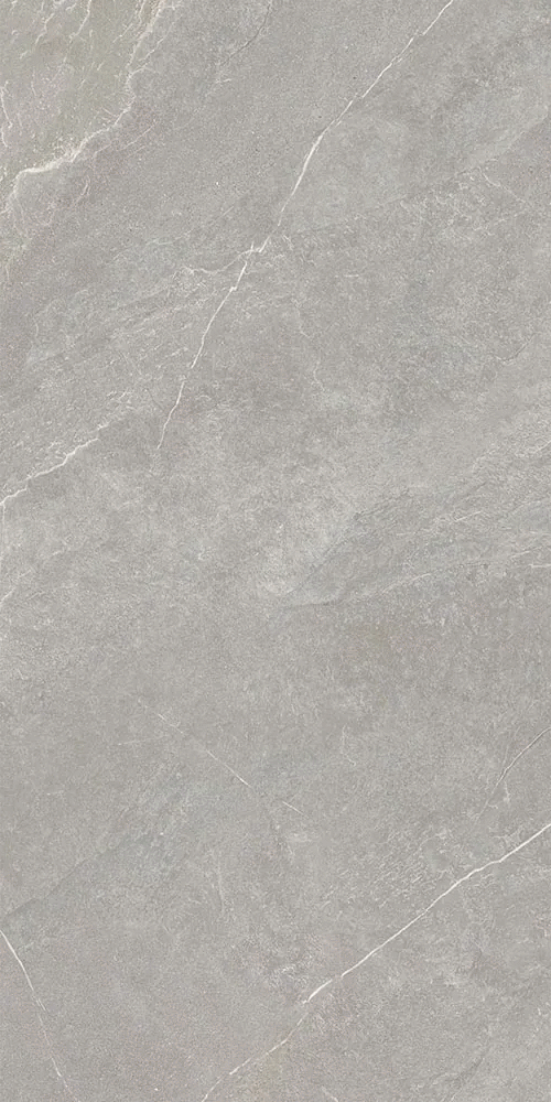 Серый Матовый R10A Ректификат 9мм 60х120 (600x1200)