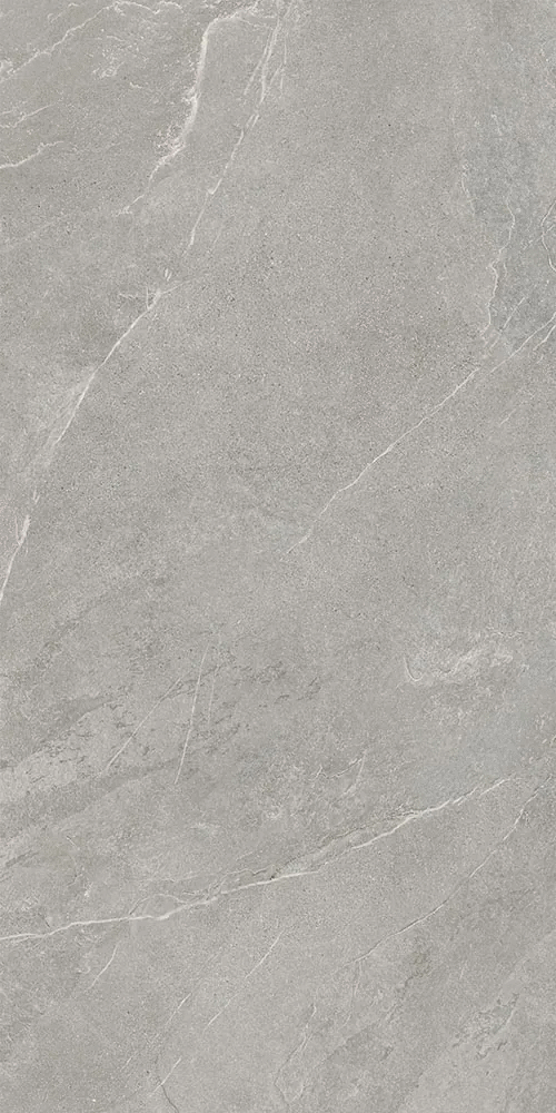 Серый Матовый R10A Ректификат 9мм 60х120 (600x1200)
