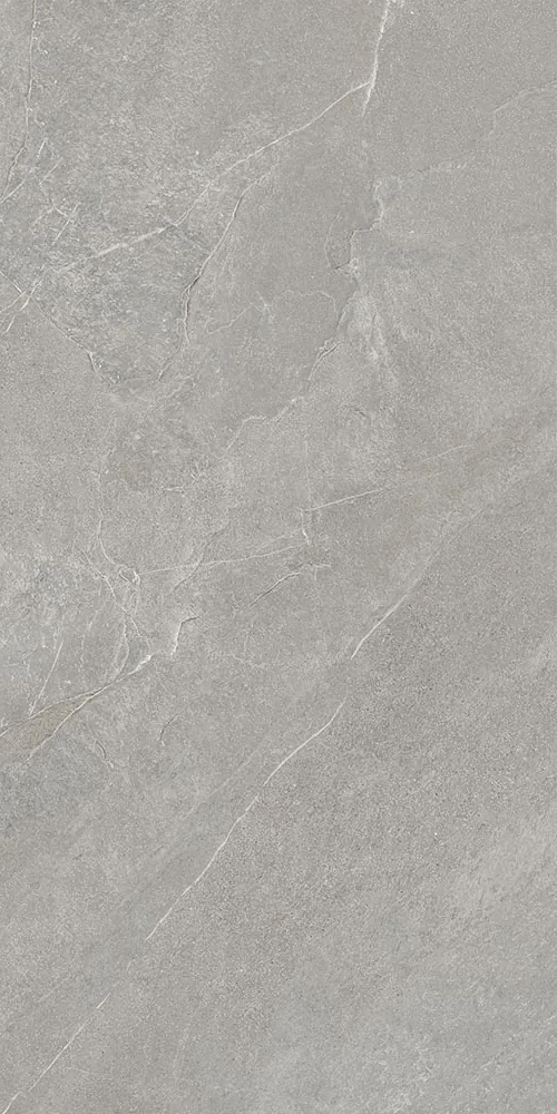 Серый Матовый R10A Ректификат 9мм 60х120 (600x1200)
