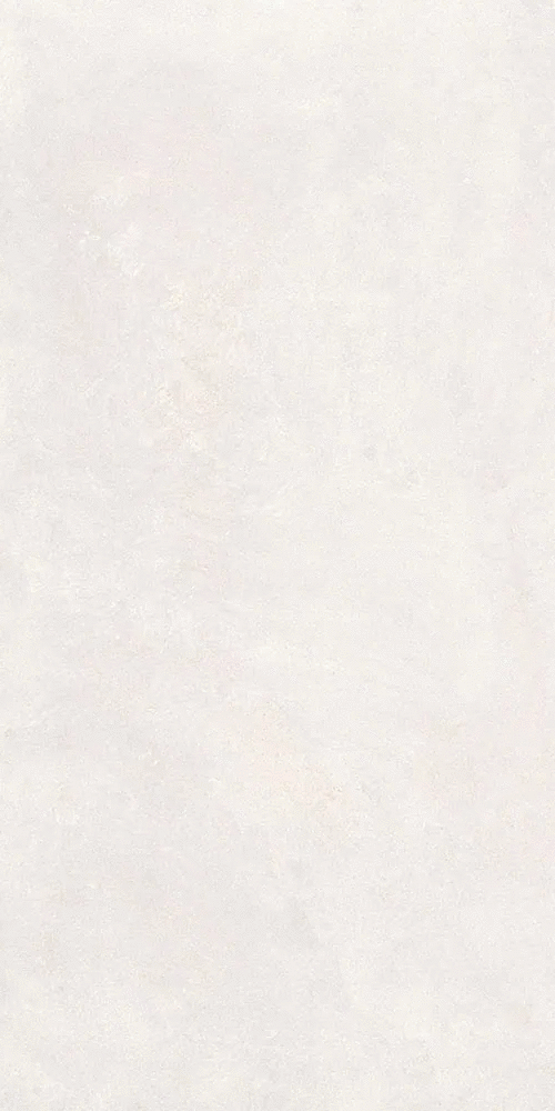 Белый Матовый R10A Ректификат 9мм 60x120 (600x1200)