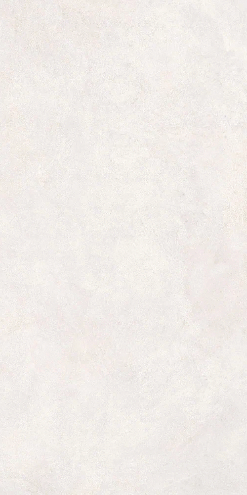 Белый Матовый R10A Ректификат 9мм 60x120 (600x1200)