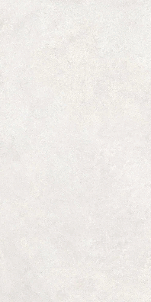 Белый Матовый R10A Ректификат 9мм 60x120 (600x1200)