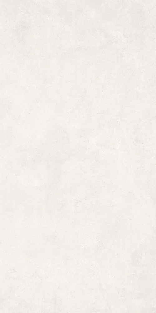 Белый Матовый R10A Ректификат 9мм 60x120 (600x1200)
