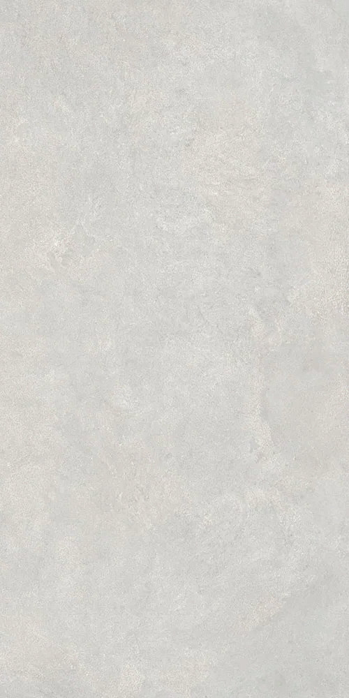 Светло-серый Матовый R10A Ректификат 9мм 60x120 (600x1200)