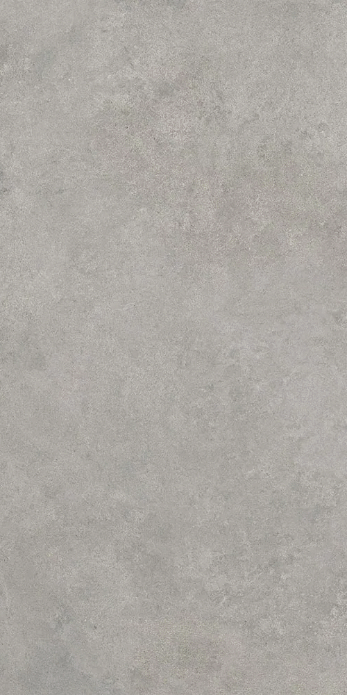 Серый Матовый R10A Ректификат 9мм 60x120 (600x1200)