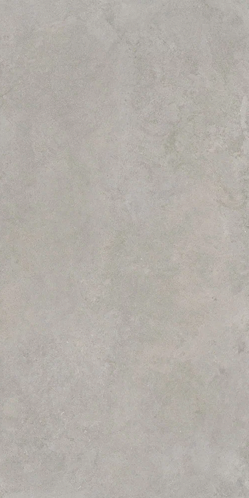 Серый Матовый R10A Ректификат 9мм 60x120 (600x1200)
