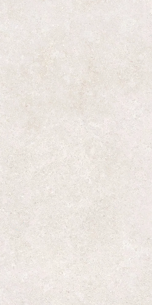 Белый Матовый R10A Ректификат 9мм 60х120 (600x1200)
