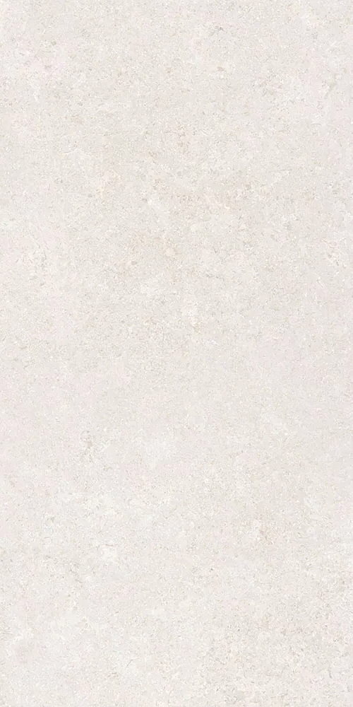 Белый Матовый R10A Ректификат 9мм 60х120 (600x1200)