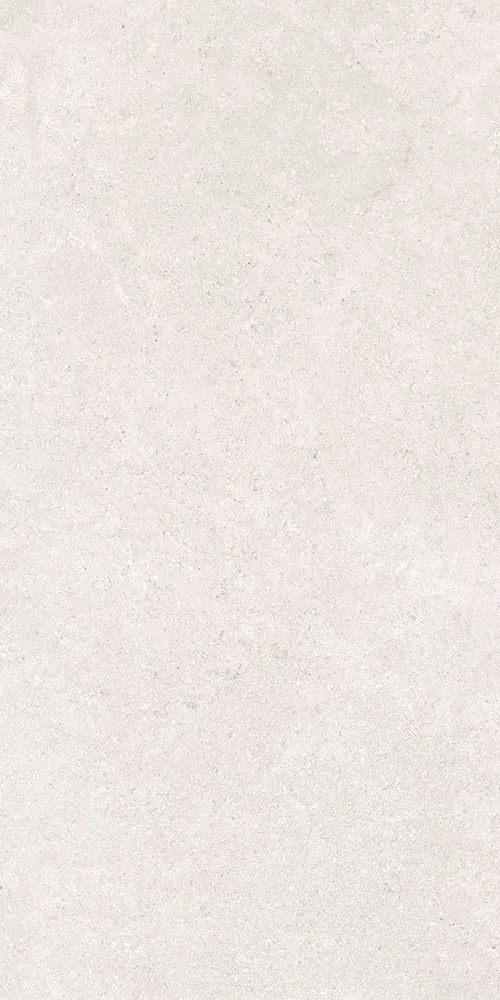 Белый Матовый R10A Ректификат 9мм 60х120 (600x1200)