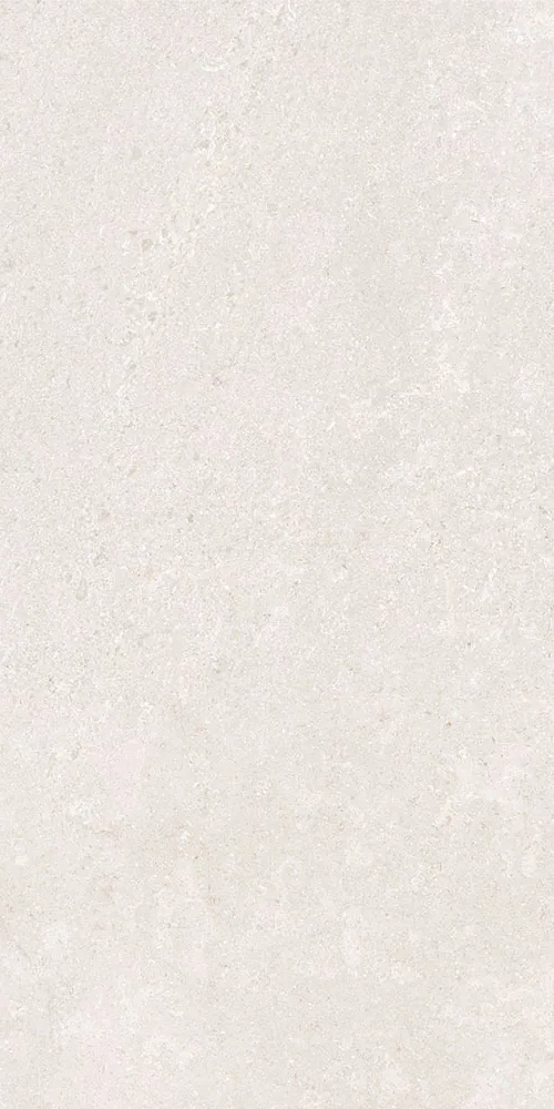 Белый Матовый R10A Ректификат 9мм 60х120 (600x1200)