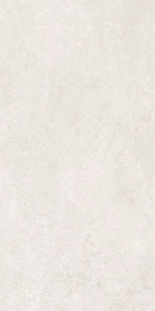 Белый Матовый R10A Ректификат 9мм 60х120 (600x1200)