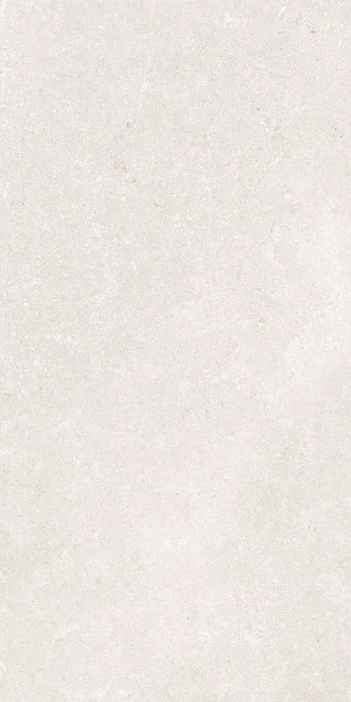 Белый Матовый R10A Ректификат 9мм 60х120 (600x1200)