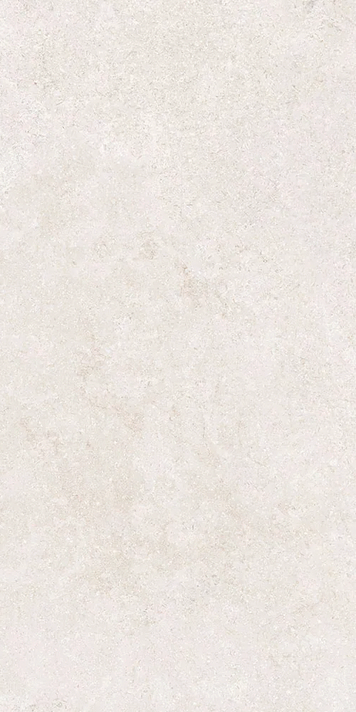 Белый Матовый R10A Ректификат 9мм 60х120 (600x1200)