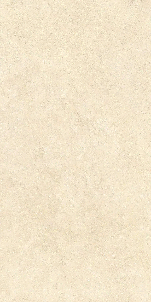 Песочный Матовый R10A Ректификат 9мм 60х120 (600x1200)