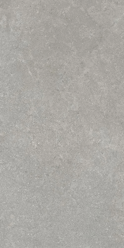 Серый Матовый R10A Ректификат 9мм 60х120 (600x1200)