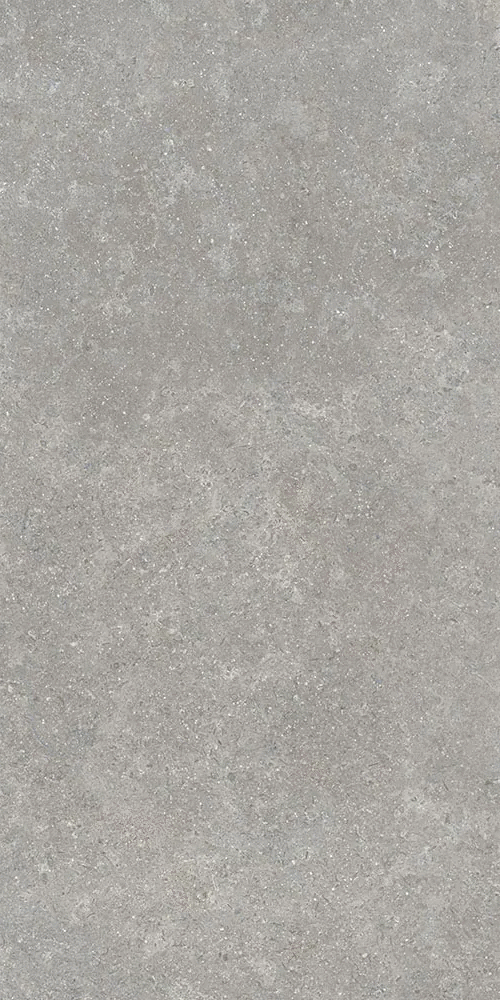 Серый Матовый R10A Ректификат 9мм 60х120 (600x1200)