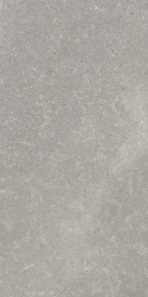 Серый Матовый R10A Ректификат 9мм 60х120 (600x1200)