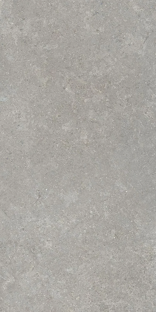 Серый Матовый R10A Ректификат 9мм 60х120 (600x1200)