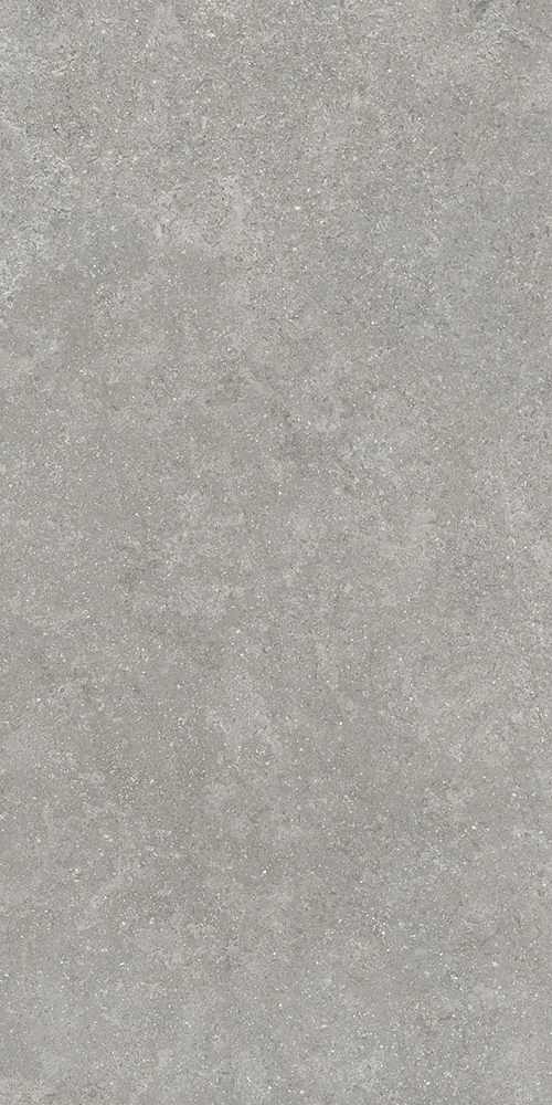 Серый Матовый R10A Ректификат 9мм 60х120 (600x1200)