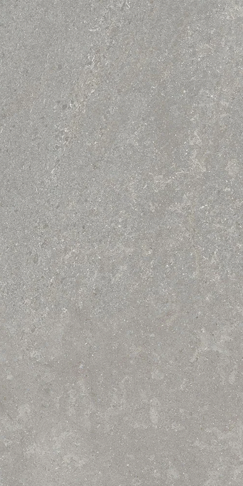 Серый Матовый R10A Ректификат 9мм 60х120 (600x1200)