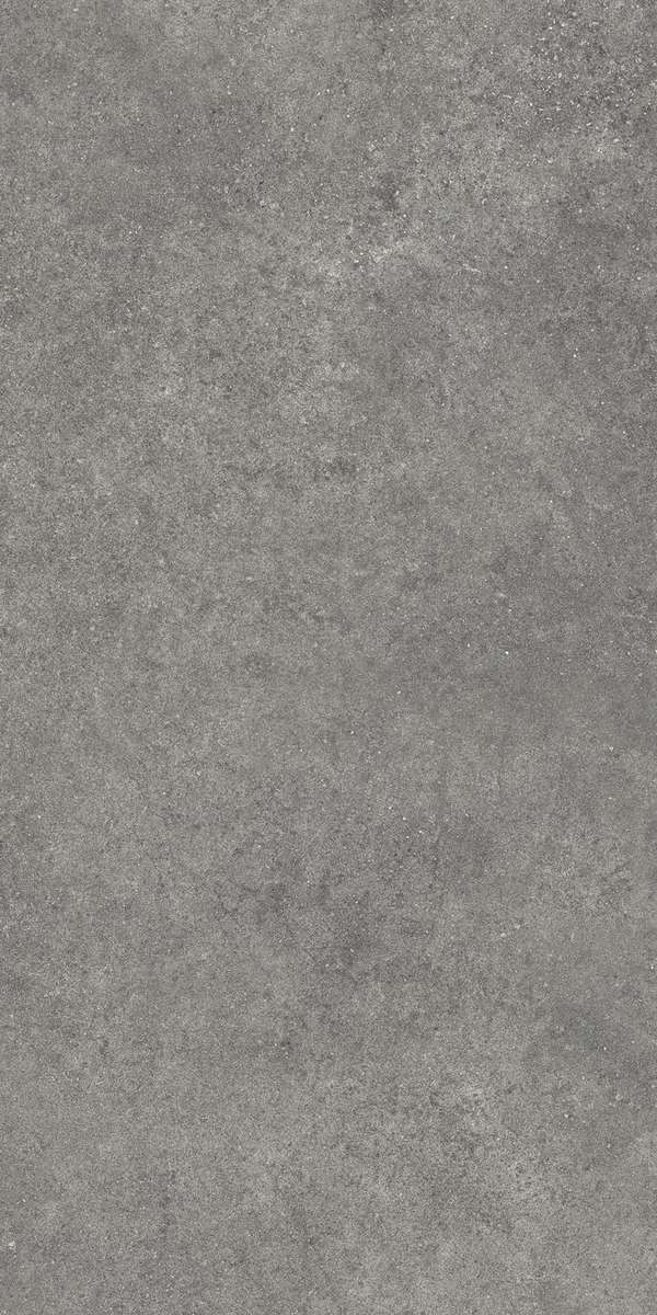 Темно-серый Матовый R10A Ректификат 60x120 (600x1200)