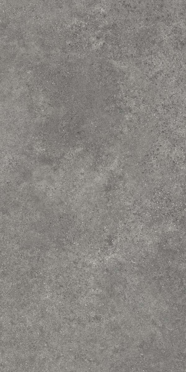 Темно-серый Матовый R10A Ректификат 60x120 (600x1200)