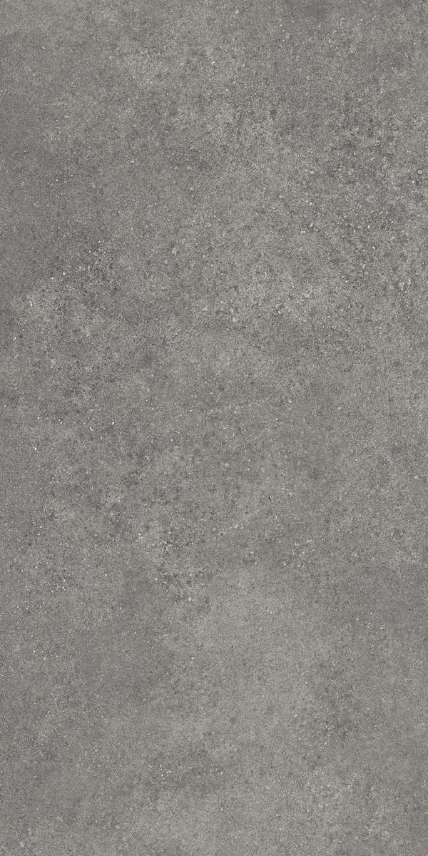 Темно-серый Матовый R10A Ректификат 60x120 (600x1200)