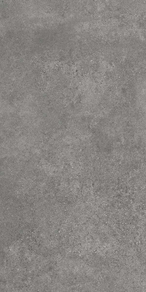 Темно-серый Матовый R10A Ректификат 60x120 (600x1200)
