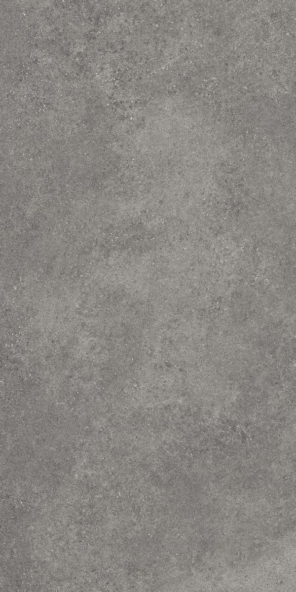 Темно-серый Матовый R10A Ректификат 60x120 (600x1200)