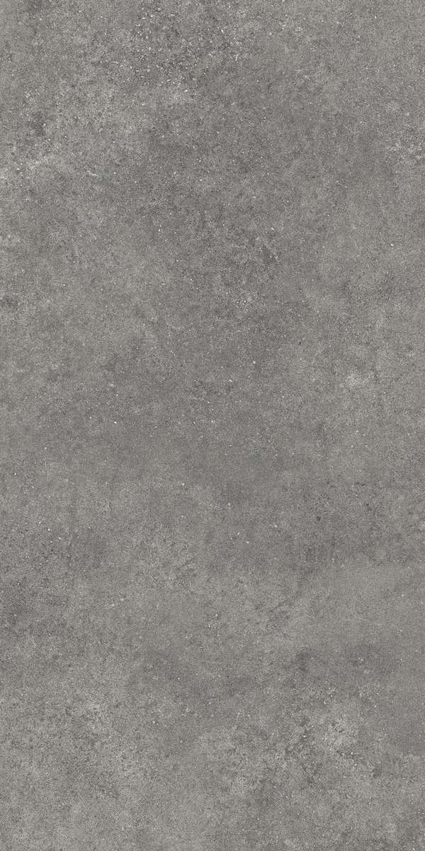 Темно-серый Матовый R10A Ректификат 60x120 (600x1200)