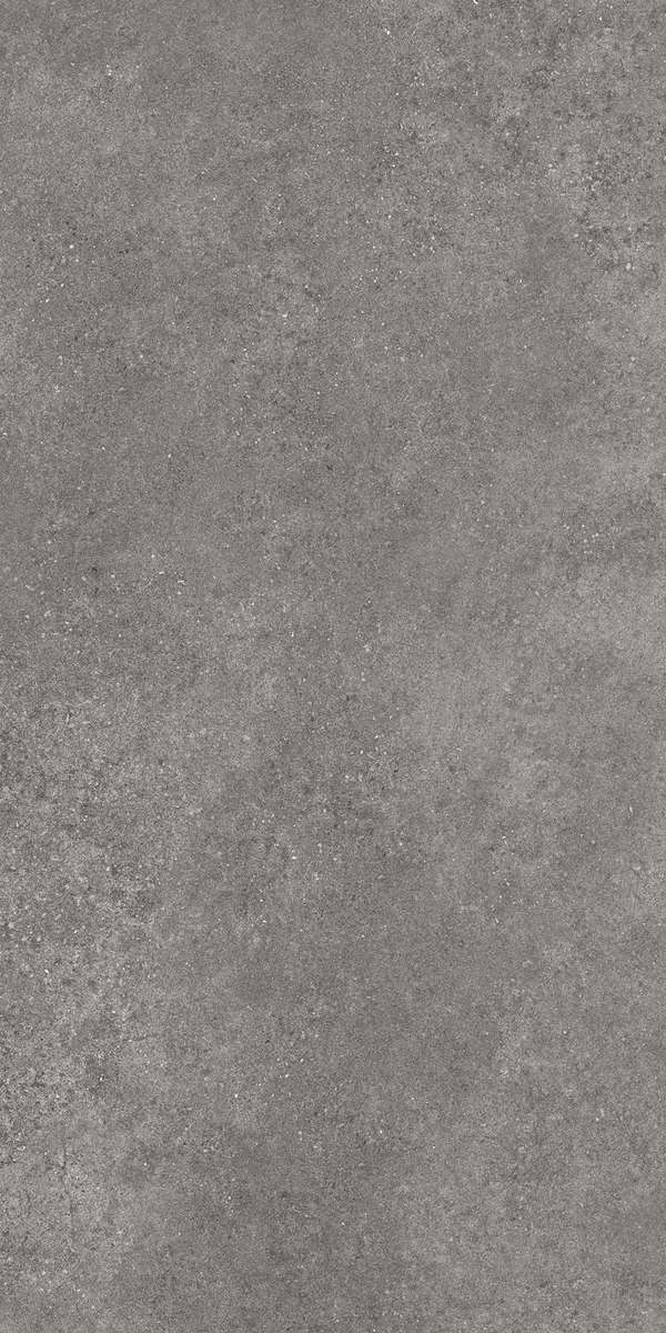 Темно-серый Матовый R10A Ректификат 60x120 (600x1200)