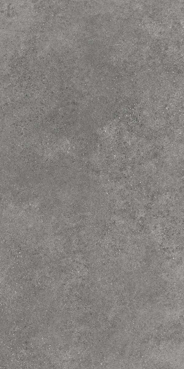 Темно-серый Матовый R10A Ректификат 60x120 (600x1200)