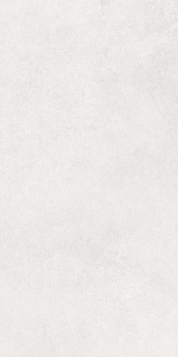 Белый Матовый R10A Ректификат 60x120 (600x1200)