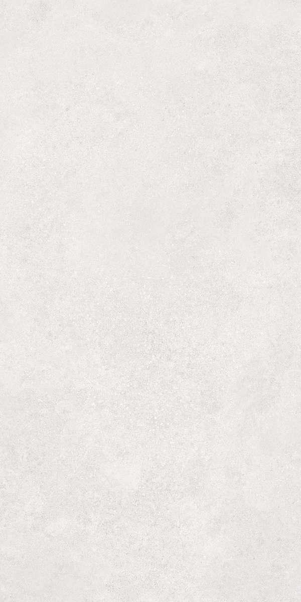 Белый Матовый R10A Ректификат 60x120 (600x1200)
