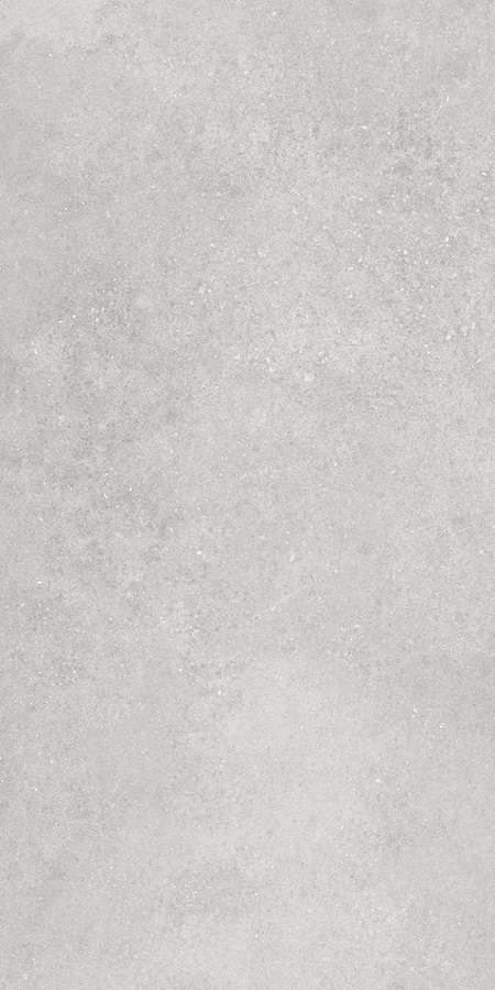 Серый Матовый R10A Ректификат 60x120 (600x1200)
