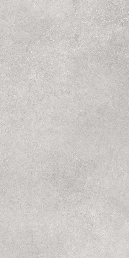 Серый Матовый R10A Ректификат 60x120 (600x1200)