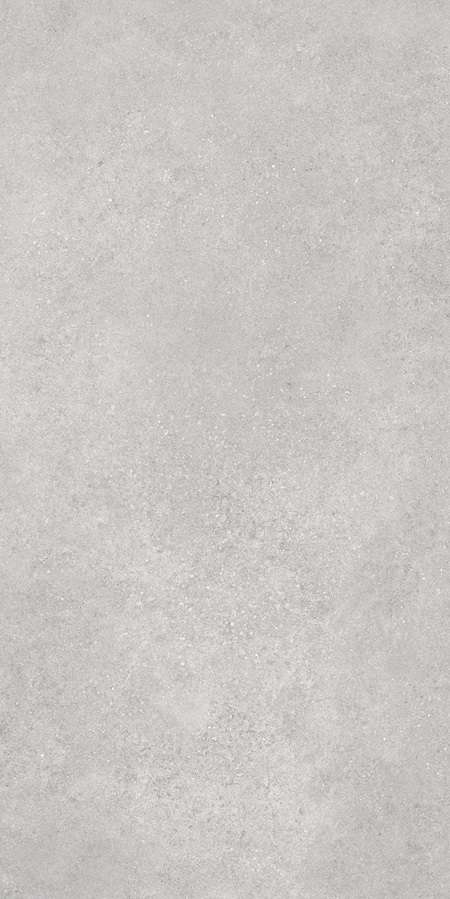 Серый Матовый R10A Ректификат 60x120 (600x1200)